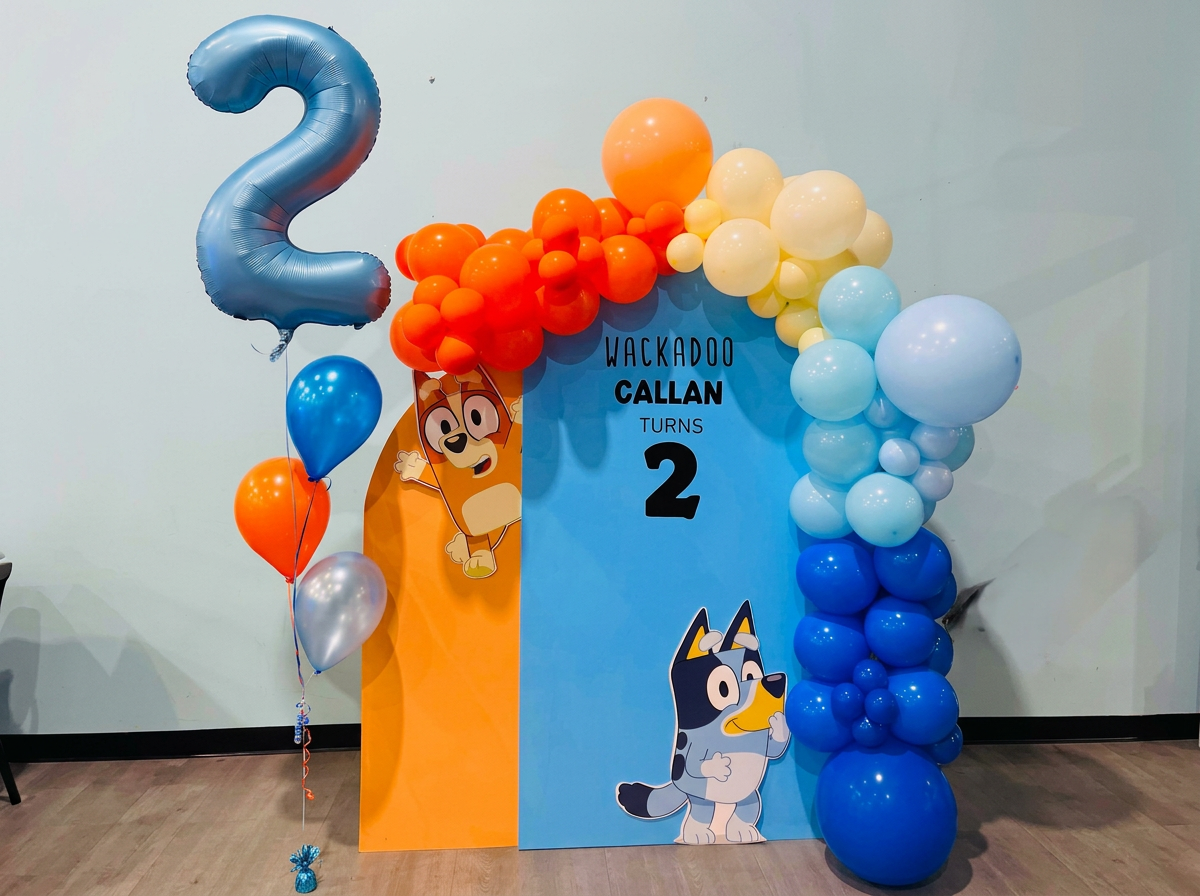 BLUEY THEMED BACKDROP HIRE BLUEY THEMED BACKDROP HIRE